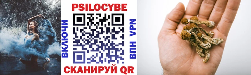 Купить где  Инсар  Галлюциногенные грибы мухоморы 